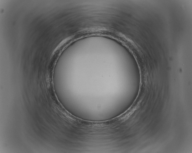 X0000075391306200609080929