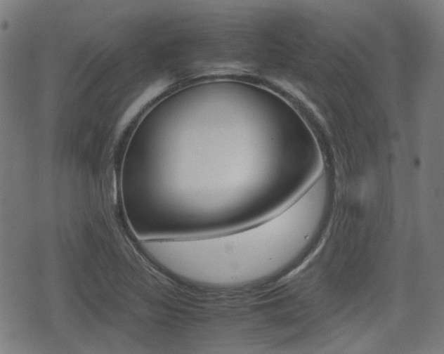 X0000075391317200609080929