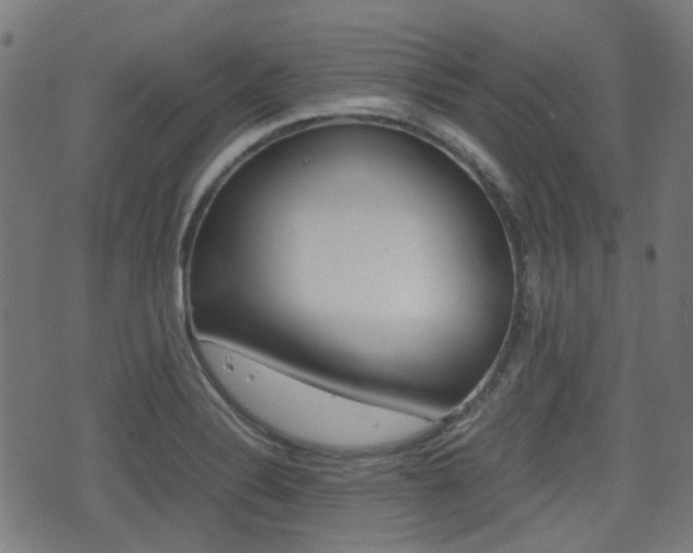 X0000075391324200609080929