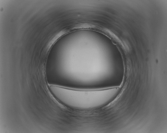 X0000075391329200609080929