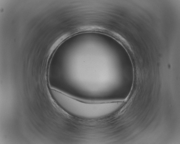 X0000075391330200609080929