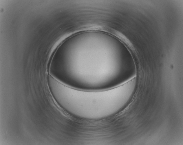 X0000075391332200609080929