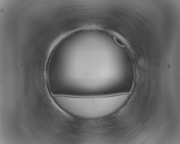 X0000075391335200609080929