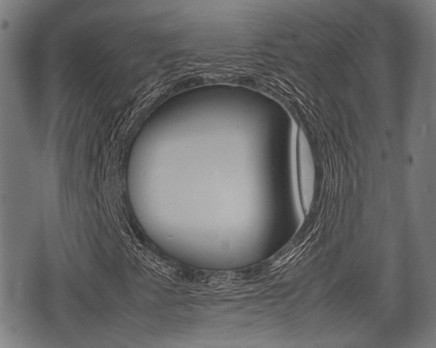 X0000075391345200609080928