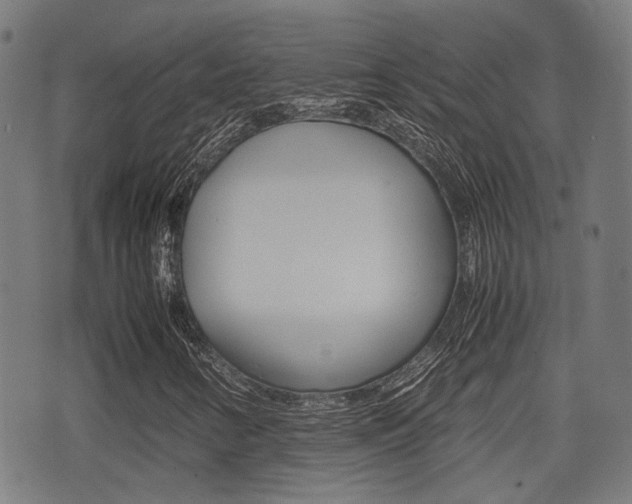X0000075391346200609080928