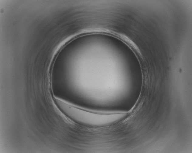 X0000075391380200609080928