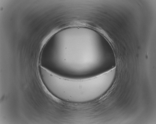 X0000075391387200609080928