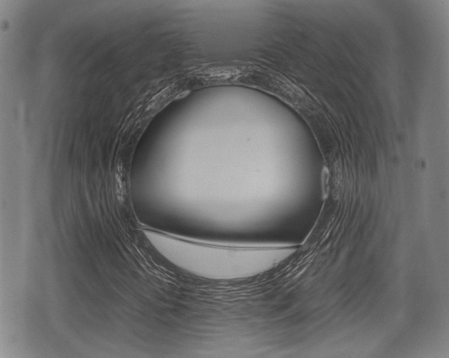 X0000075391394200609080927