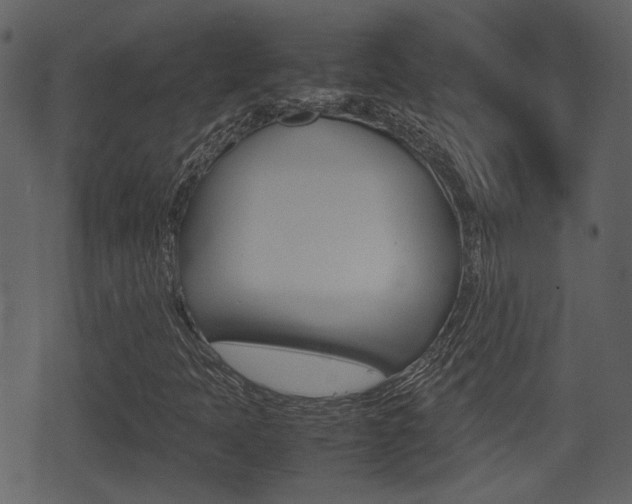 X0000075391397200609080927