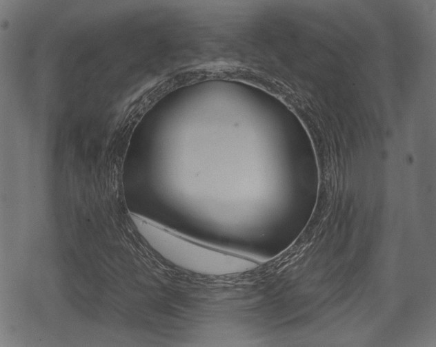 X0000075391398200609080927