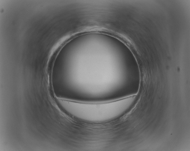 X0000075391414200609080927