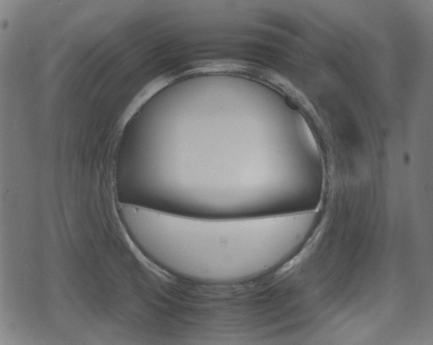 X0000075391425200609080927