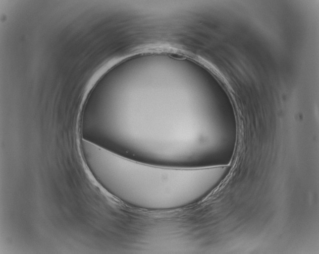 X0000075391440200609080928