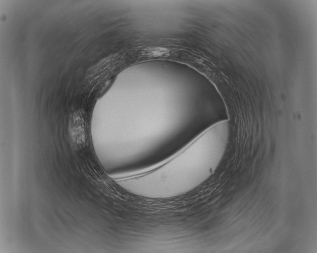 X0000075391442200609080927