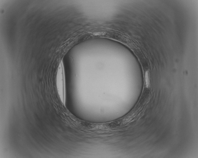 X0000075391443200609080927