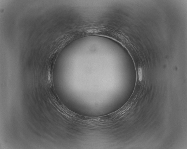 X0000075391444200609080927
