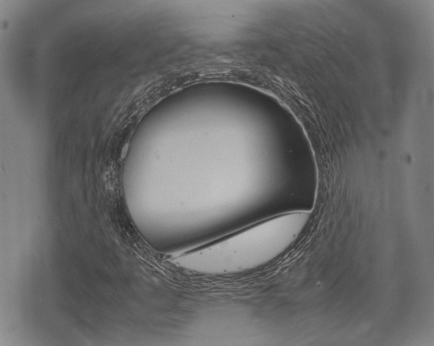 X0000075391445200609080927