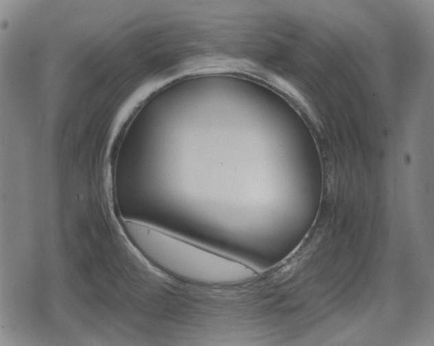 X0000075391472200609080926