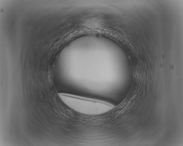 X0000075391490200609080925