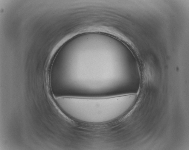 X0000075391517200609080926