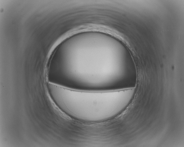 X0000075391522200609080926