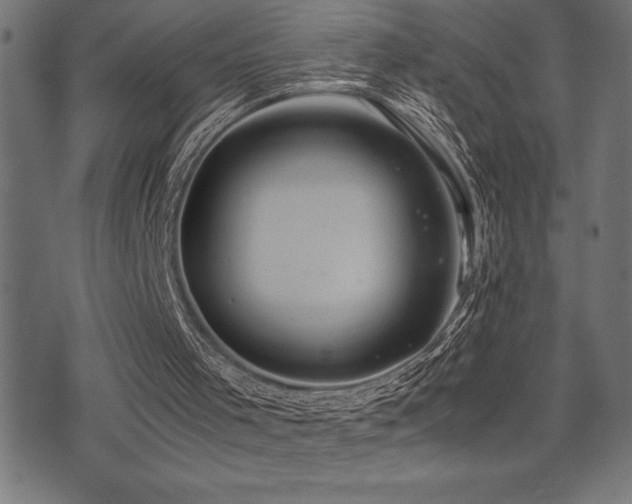 X0000075390001200609081242