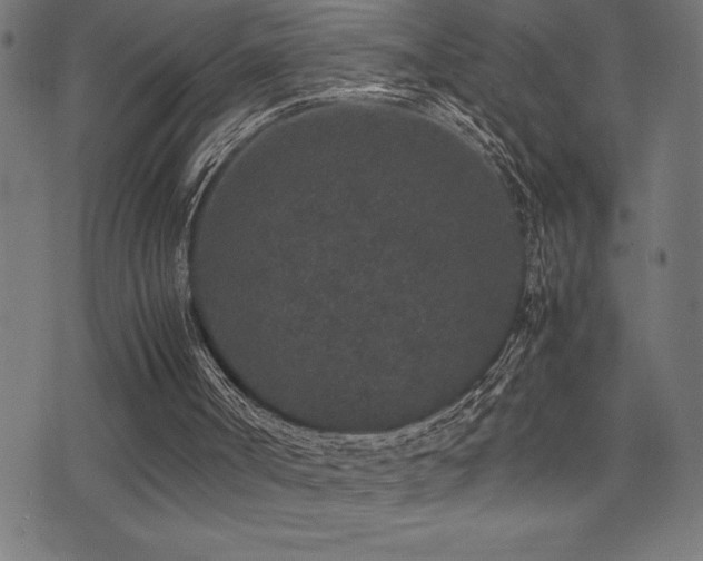 X0000075390002200609081242