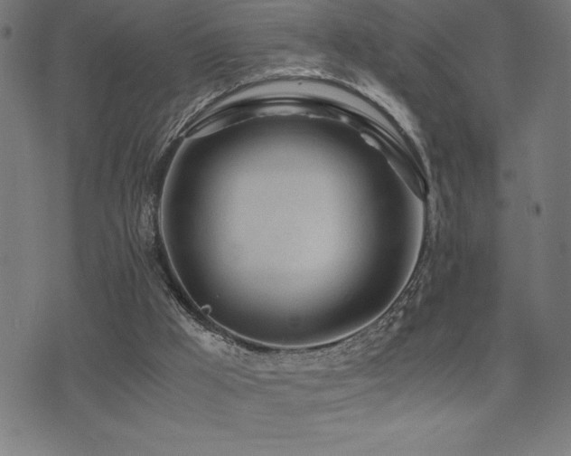 X0000075390009200609081241