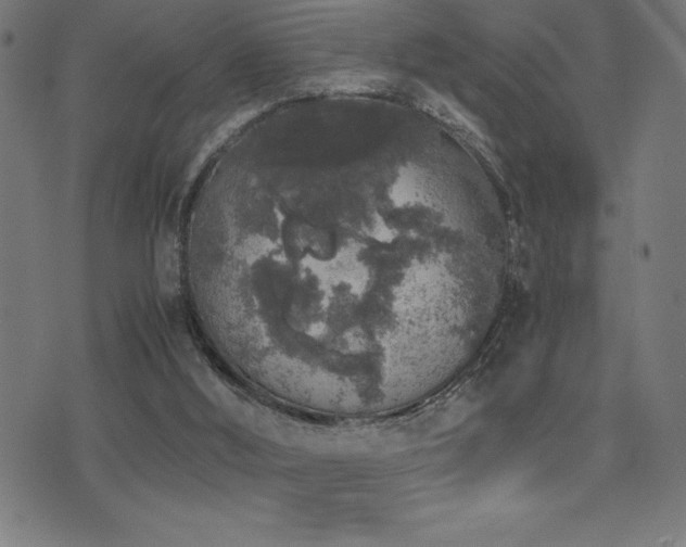 X0000075390012200609081241
