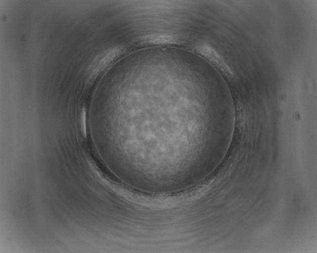 X0000075390014200609081241