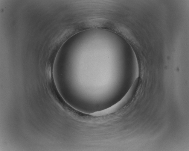 X0000075390021200609081241