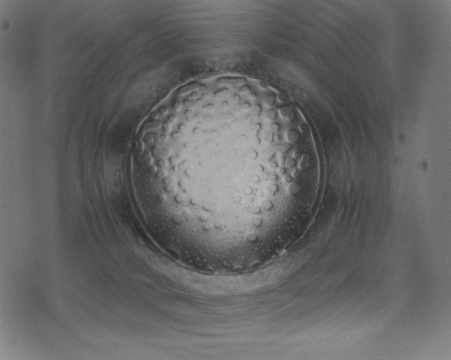 X0000075390034200609081241