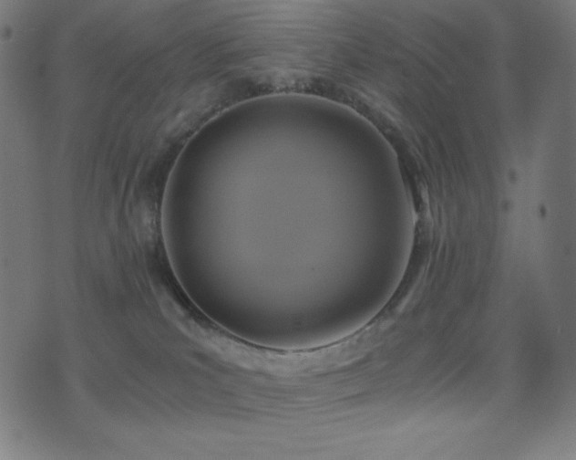 X0000075390039200609081241