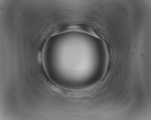 X0000075390041200609081241