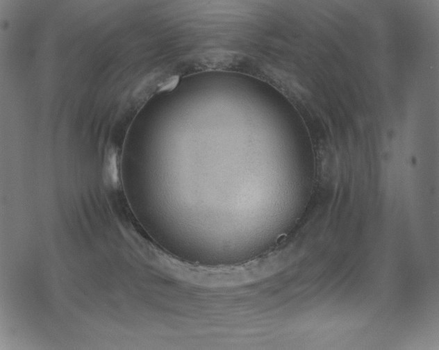 X0000075390042200609081241
