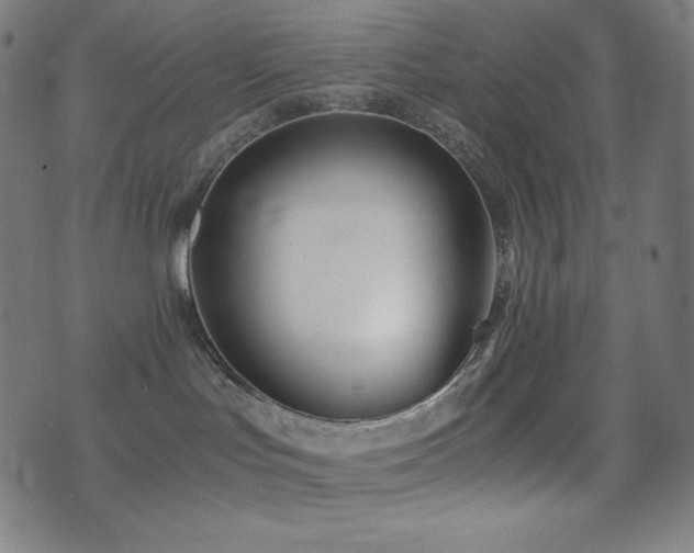 X0000075390047200609081241