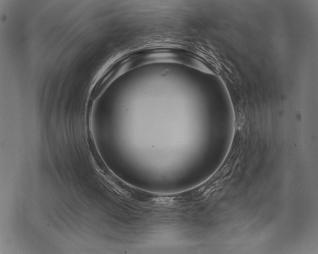 X0000075390052200609081240
