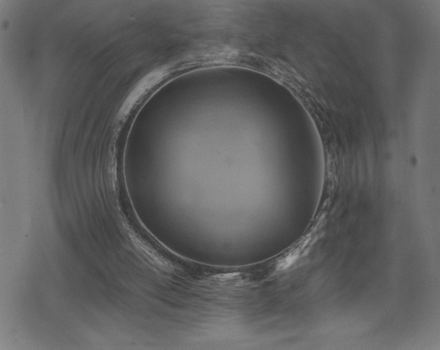 X0000075390054200609081240