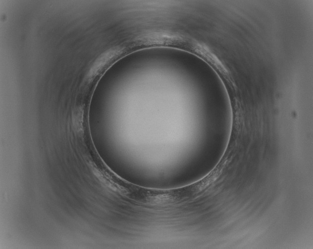 X0000075390058200609081240