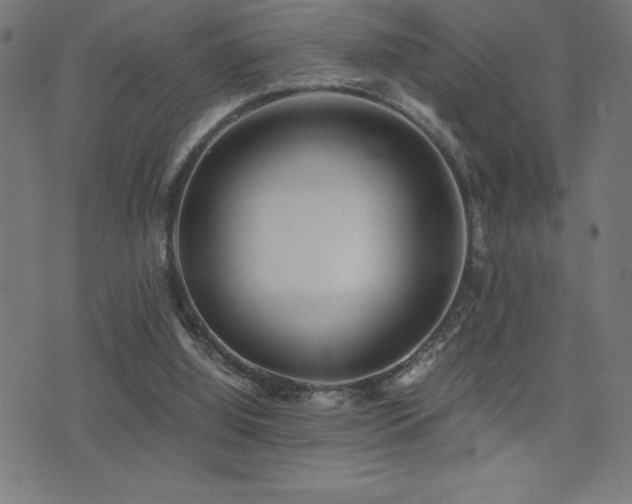 X0000075390060200609081240