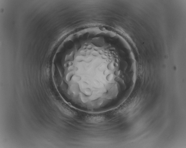 X0000075390063200609081240