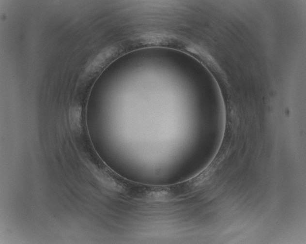 X0000075390066200609081240