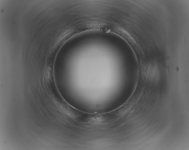 X0000075390071200609081240