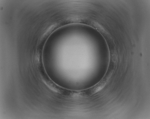 X0000075390072200609081240