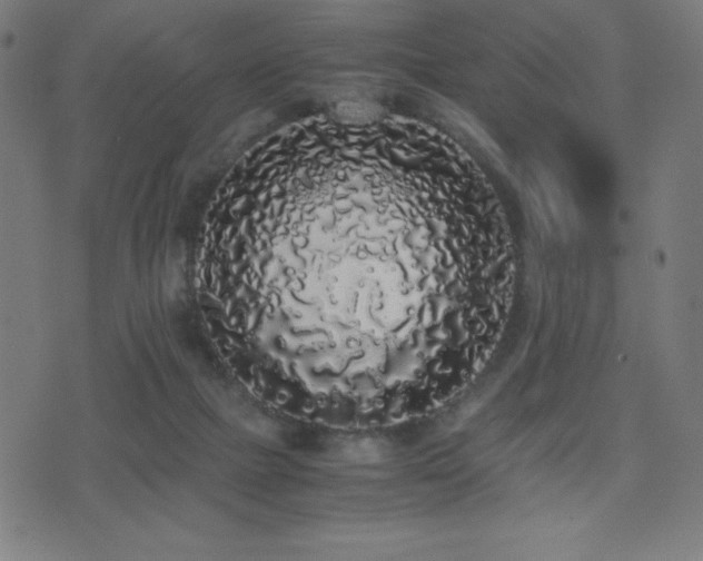 X0000075390073200609081240