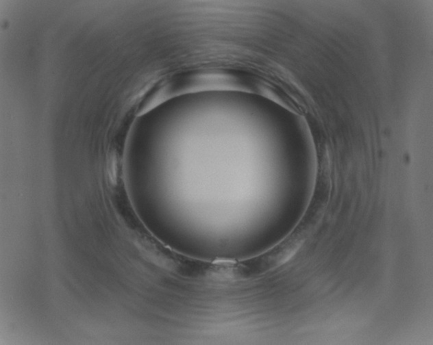 X0000075390076200609081240