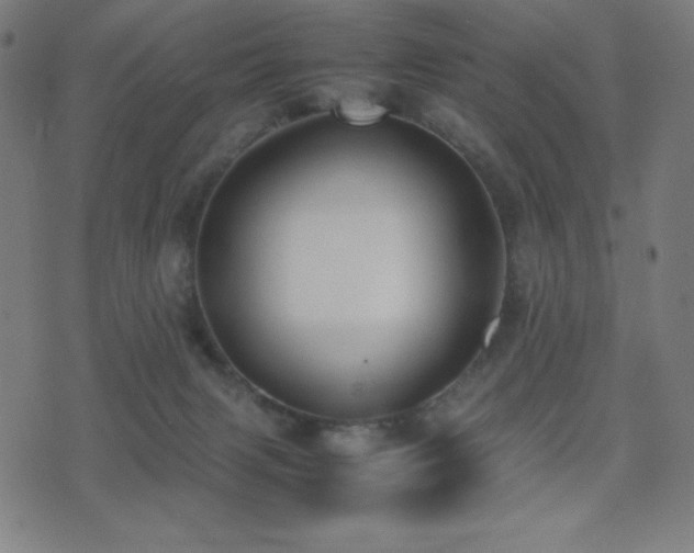 X0000075390079200609081241