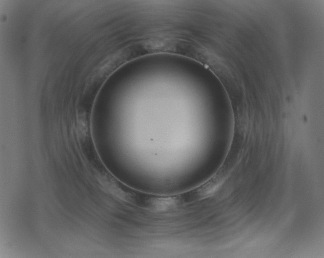 X0000075390085200609081241