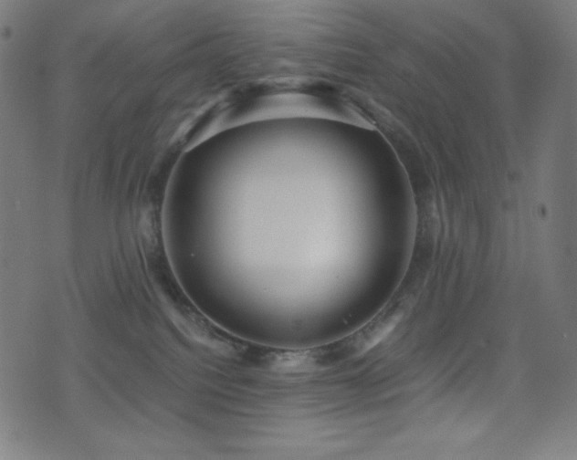 X0000075390088200609081241