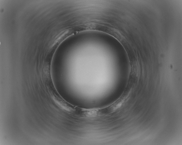 X0000075390092200609081241